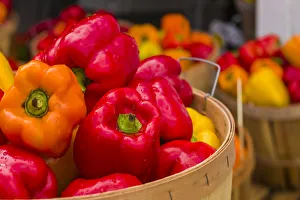 Canada, Quebec, Montreal. Little Italy, Marche Jean Talon Market, peppers