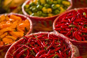 Still Life Prints: Canada, Quebec, Montreal. Little Italy, Marche Jean Talon Market, peppers