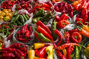 Canada, Quebec, Montreal. Little Italy, Marche Jean Talon Market, peppers