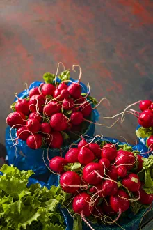 Canada, Quebec, Montreal. Little Italy, Marche Jean Talon Market, radishes