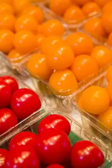 Images Dated 20th April 2014: Canada, Quebec, Montreal, Marche Jean Talon market, tomatoes