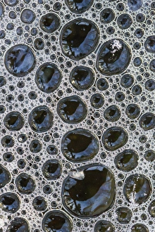 Images Dated 25th November 2013: Canada, Quebec, Mount St-Bruno Conservation Park. Foam caught under ice. Credit as