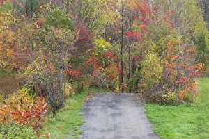 Images Dated 10th October 2017: Canada, Quebec, Neuville. Country road