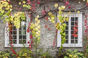 Images Dated 10th October 2017: Canada, Quebec, Neuville. Rue des Erables, village building