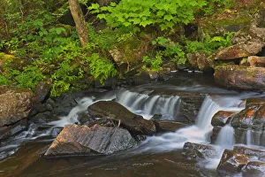 Canada Collection: Canada, Quebec, Parc National du Mont-Tremblant. Scenic of waterfall over rocks