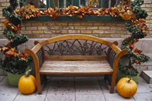 Images Dated 6th June 2011: Canada, Quebec, Quebec City. Bench with autumn leaves and pumpkins