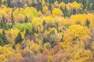 Images Dated 14th October 2017: Canada, Quebec, Saguenay Fjord, L Anse-Saint-Jean