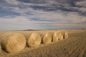Hay Bale Prints: Canada, Saskatchewan
