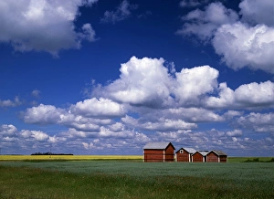 Granary Prints: Canada, Saskatchewan, Delmas, View of landscape