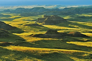 Images Dated 13th July 2011: Canada, Saskatchewan, Grasslands National Park
