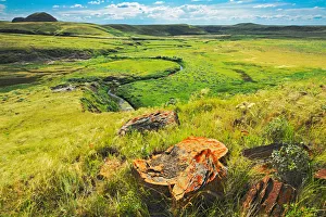 Images Dated 14th July 2011: Canada, Saskatchewan, Grasslands National Park. Killdeer Badlands formations. Credit as