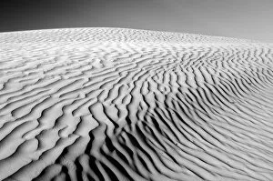 Images Dated 22nd May 2005: Canada, Saskatchewan, Great Sand Hills. Sand dune patterns