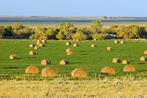 Bale Prints: Canada, Saskatchewan, Maple Creek. Bales at sunset, Saskatchewan, Canada. Credit as
