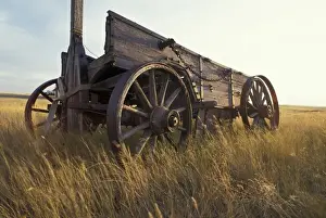 Wagon Prints: Canada, Saskatchewan. An old horse-drawn cart in a field near Maple Creek