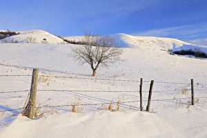 Images Dated 12th February 2011: Canada, Saskatchewan, Qu Appelle Valley