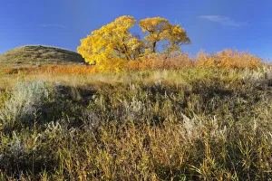 Canada, Saskatchewan, Saskatchewan Landing Provincial Park. Hills in autumn. Credit as