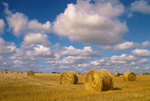 Canada, Saskatchewan, Shellbrook. Bale rolls and cumulus clouds on farmland Canada, Saskatchewan, Shellbrook. Bale rolls and cumulus clouds on farmland