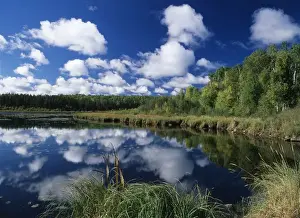 Images Dated 12th October 2017: Canada, Saskatchewan, View of wet area in Prince Albert National Park