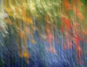 Images Dated 13th June 2014: Canada, Shampers Bluff. Abstract blur of garden colors