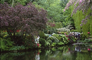Holding Prints: Canada, Vancouver Island, Victoria, Butchart Gardens
