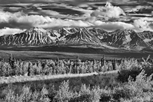 Images Dated 2018 August: Canada, Yukon, Haines Junction. St. Elias Mountains landscape