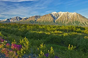 Yukon Prints: Canada, Yukon. St. Elias Mountains and forested valley