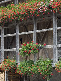 Still Life Prints: Canale d Agordo, traditional alpine architecture in valley Val Biois, Italy