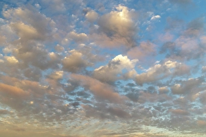 Images Dated 4th September 2024: Cannon Beach along the Oregon Coast sunset