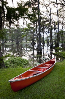 Fresh Water Prints: Canoe by Caddo Lake, Texass largest natural lake