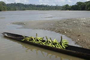 Images Dated 18th January 2005: Canoe on Misahualli River which runs into the Napo River Amazon Rain Forest. ECUADOR