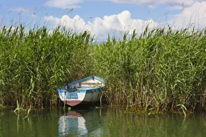 Images Dated 2018 August: Canoe and reeds on Lake Ohrid, Republic of Macedonia