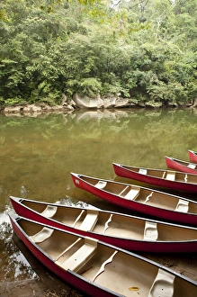 Images Dated 2nd March 2010: Canoeing the Macal River in jungle area of Central America, Belize