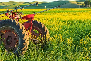 Images Dated 14th June 2015: Canola Fields near town of Steptoe, Palouse Area of Eastern Washington State