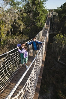 Images Dated 2nd March 2010: Canopy walk in riparian forest at Santa Ana National Wildlife Refuge, Texas