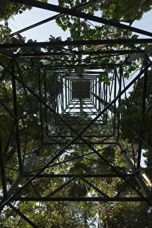 Images Dated 8th October 2010: Canopy Walkway at Sacha Lodge. 275m long, 36m high rigid walkway