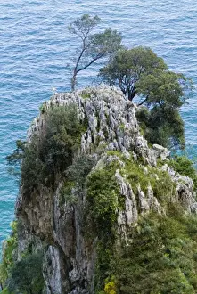 Cantabria Prints: Cantabria. Landscape from Faro del Caballo on Mount Buciero. Santona. Spain