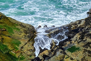 Aqua Prints: Cape Arago State Park, Coos County