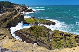 Aqua Prints: Cape Arago State Park, Coos County