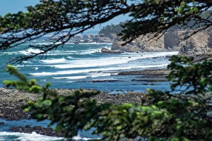 Aqua Prints: Cape Arago State Park, Coos County