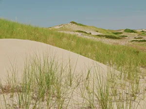 Cape Cod