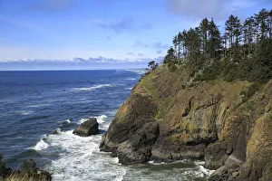 Evergreen Tree Prints: Cape Disappointment, Washington State