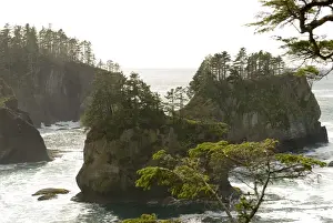 Cape Flattery - northwesternmost point of lower 48 USA. Sea Stacks. UNESCO World Heritage Site