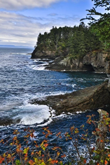 Surf Prints: Cape Flattery, Washington. Caves and bluffs at Cape Flattery with water crashing