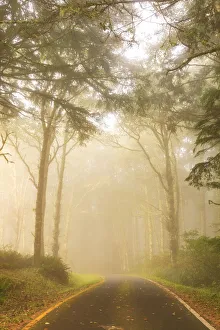Images Dated 28th September 2004: Cape Perpetua State Park, Oregon Coast, USA