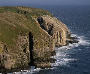 Cape St. Marys Ecological Reserve, (Bird Rock) a rookery of seabirds on the cliifs of NewFoundland