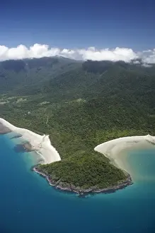 Tropical Rainforest Prints: Cape Tribulation, Daintree National Park (World Heritage Area), North Queensland