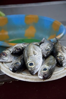 Images Dated 25th May 2010: Cape Verde Islands, Sao Vicente, Mindelo (aka Porto Grande). Downtown fish market