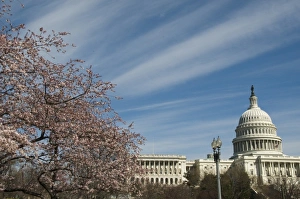 Images Dated 15th February 2007: US Capitol building, National Mall National Park, Washington D.C. USA