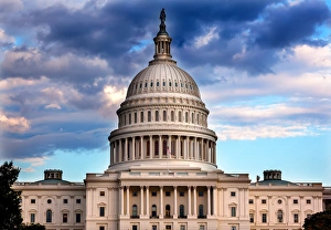District Of Columbia Prints: US Capitol Dome Congress House of Representatives US Senate Washington DC