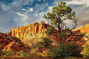 Michael Schertz Prints: Capitol Reef National Park